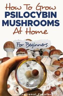 [预订]How to Grow Psilocybin Mushrooms at Home for Beginners: 5 Comprehensive Magic Mushroom Growing Metho 9781922940124