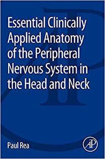 Applied the 预售 Clinically Head Neck Anatomy Essential Nervous Peripheral and System