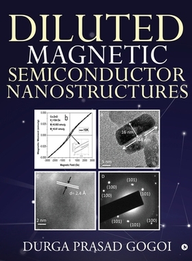 【预订】Diluted Magnetic Semiconductor Nanostructures