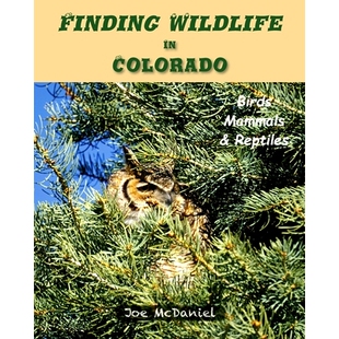 Colorado Reptiles Finding 9781950647729 and Wildlife Mammals 预订 Birds