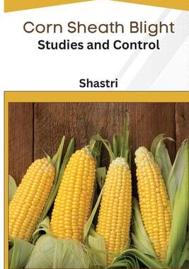 [预订]Corn Sheath Blight Studies and Control 9781088240823