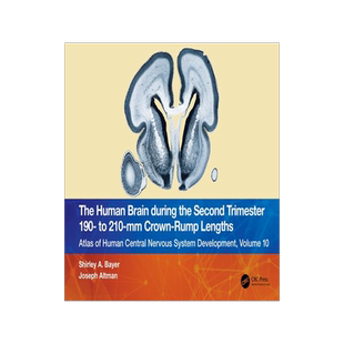 [预订]The Human Brain during the Second Trimester 190– to 210–mm Crown-Rump Lengths 9781032219394