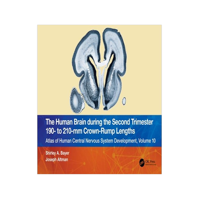 [预订]The Human Brain during the Second Trimester 190– to 210–mm Crown-Rump Lengths 9781032219394