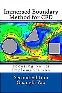 Implementation 预订 Immersed for Focusing Cfd Boundary 9781984295583 Its Method