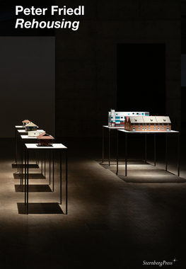 【预订】Peter Friedl: Rehousing