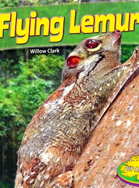预订 Flying Lemurs: 9781448861842