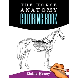 Book Self Horse Coloring Your Equest 预订 Test For Anatomy Equine Assessment Adults Knowledge Workbook
