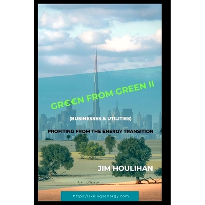 预订 ’Green from Green II - Businesses & Utilities: Profiting From The Energy Transition: 9798333909657