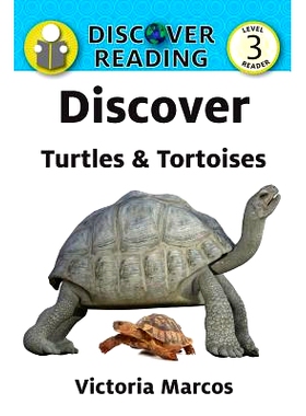 预订 Discover Turtles & Tortoises: 9781532405396