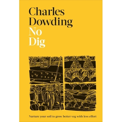 Nurture Your Soil to Grow Better Veg wit