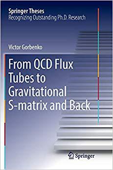 【预售】From QCD Flux Tubes to Gravitational S-matrix and Back