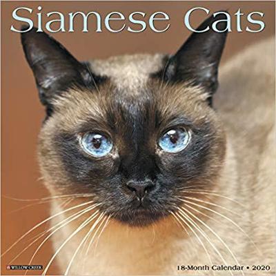 【预售】Siamese Cats 2020 Wall Calendar