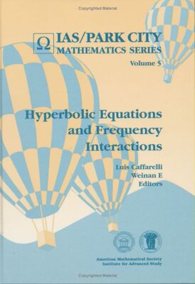 【预售】Hyperbolic Equations and Frequency Interactions