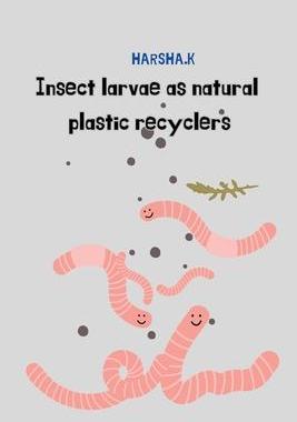 [预订]Insect Larvae As Natural Plastic Recyclers 9781126134947