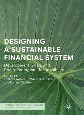 【预订】Designing a Sustainable Financial System: Development Goals and Socio-Ecological Responsibility
