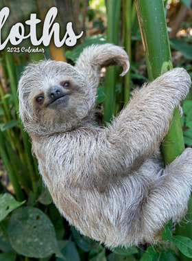 【预订】2023 Sloths Wall Calendar 9781839418198