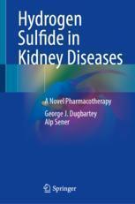 [预订]Hydrogen Sulfide in Kidney Diseases: A Novel Pharmacotherapy 9783031440403