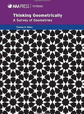 【预售】Thinking Geometrically