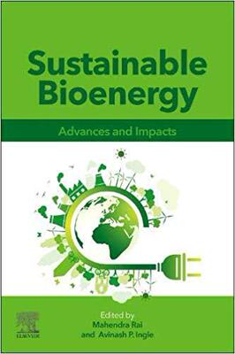 【预售】Sustainable Bioenergy