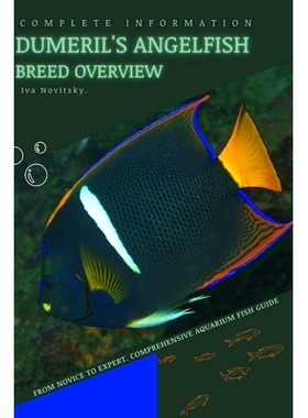 预订 Dumeril’s Angelfish: From Novice to Expert. Comprehensive Aquarium Fish Guide: 9798399335698