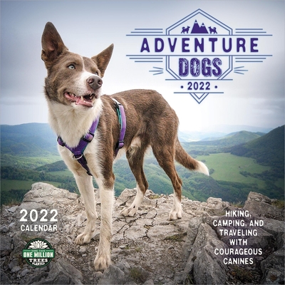 【预订】Adventure Dogs 2022 Wall Calendar: Hiking, Camping, and Traveling with Courageous Canines 9781631367595