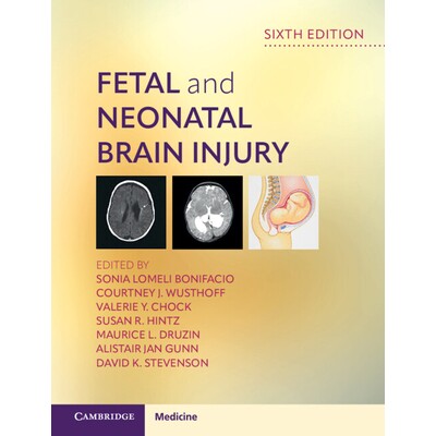 预订 Fetal and Neonatal Brain Injury 胎儿与新生儿脑损伤 9781009418010
