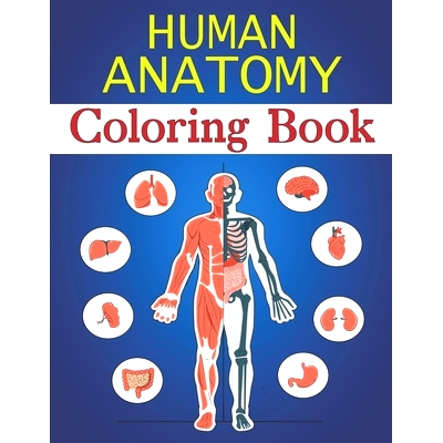 预订 Human Anatomy Coloring Book: Fun Pictures Teach Boys & Girls Brain, Lungs, Intestines, Stomach, Heart, Muscles for