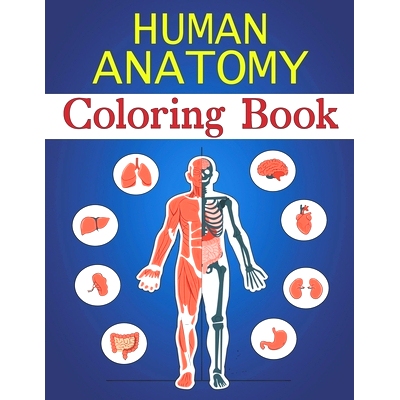 预订 Human Anatomy Coloring Book: Fun Pictures Teach Boys & Girls Brain, Lungs, Intestines, Stomach, Heart, Muscles for