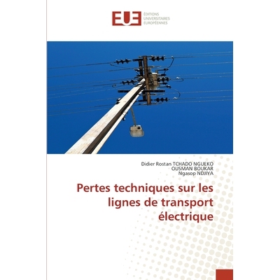 预订 Pertes techniques sur les lignes de transport électrique: 9786202427159