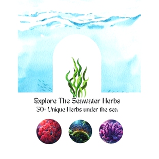 预订 Explore The Seawater Herbs: More 30 Unique Herbs Under The Sea With Introductions, History, Benefits, And Combinati