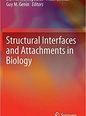 【预订】Structural Interfaces and Attachments in Biology 9781461433163