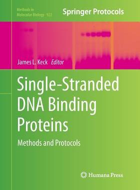 【预订】Single-Stranded DNA Binding Proteins