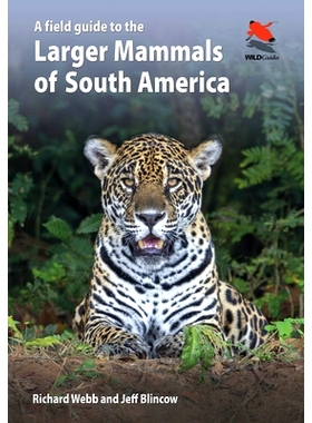 预订 A Field Guide to the Larger Mammals of South America 南美洲大陆大型哺乳动物野外指南: 9780691174099