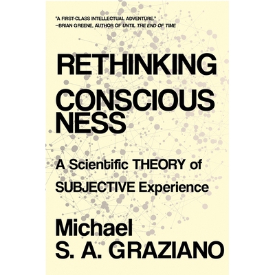 预订 Rethinking Consciousness: A Scientific Theory of Subjective Experience 重新思考意识：主观经验的科学理论: 9780393541