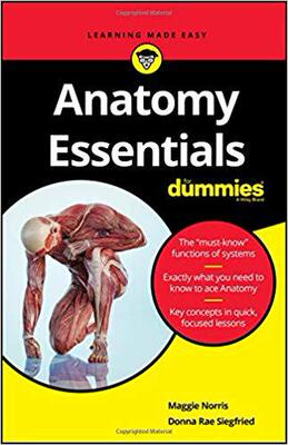 【预售】Anatomy Essentials for Dummies