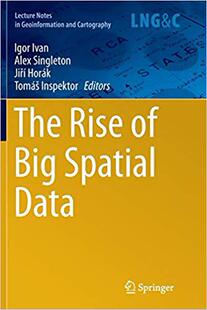 Rise Softco... The Spatial Data Big 预售