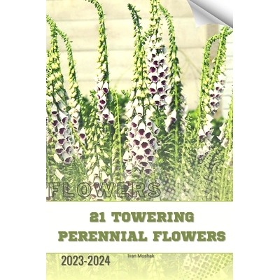 预订 21 Towering Perennial Flowers: Become flowers expert: 9798883403124