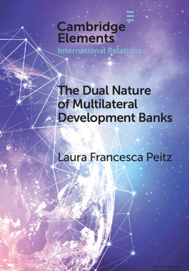 [预订]The Dual Nature of Multilateral Development Banks