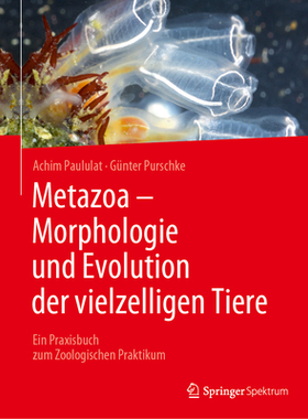 预订 Metazoa - Morphologie und Evolution der vielzelligen Tiere