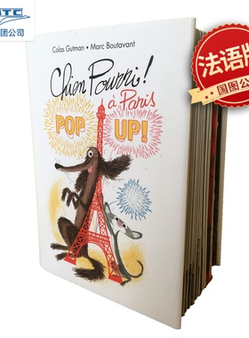 来自巴黎的流浪狗 立体书 动画电影故事 巴黎景色幼儿儿童趣味绘本 法语原版 送礼收藏 Chien Pourri à Paris pop-up