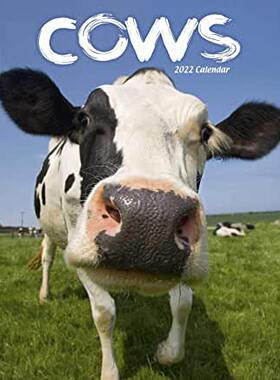 【预订】Cows 2022 Wall Calendar 9781839412578