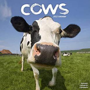 Calendar 9781839412578 Wall 2022 预订 Cows