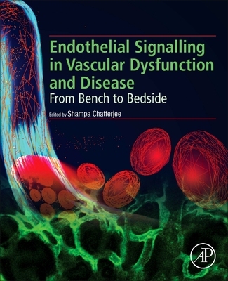 【预订】Endothelial Signaling in Vascular Dysfunction and Disease: From Bench to Bedside