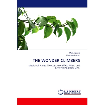 预订 THE WONDER CLIMBERS 神奇的登山者: 9786207452200