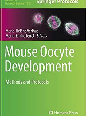 【预售】Mouse Oocyte Development