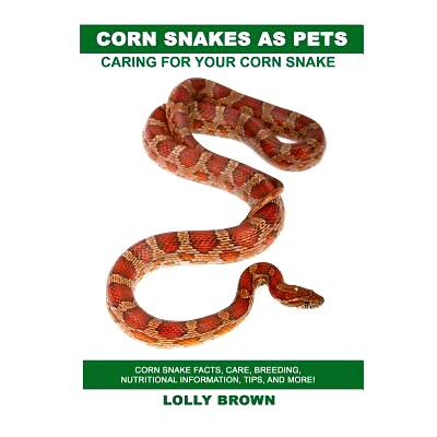预订 Corn Snakes as Pets: Corn Snake facts, care, breeding, nutritional information, tips, and more! Caring For Your Cor