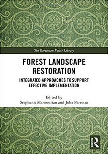 Restoration 预售 Forest Landscape