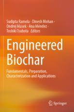 [预订]Engineered Biochar 9789811924903