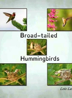 预订 Broad-tailed Hummingbirds: 9781943650873