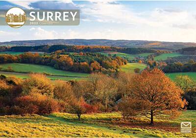 【预订】Surrey A4 Calendar 2022 9781529814224